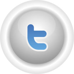 Twitter icon 256x256