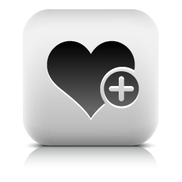  icon 256x256