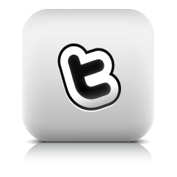  icon 256x256
