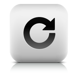  icon 256x256