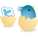 Twitter icon