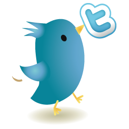 Twitter icon 256x256