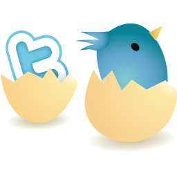 Twitter icon 256x256