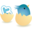 Twitter icon 32x32