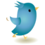 Twitter icon 64x64