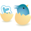 Twitter icon 64x64