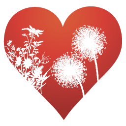  icon 256x256