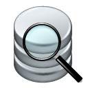 Data find icon