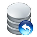 Data undo icon
