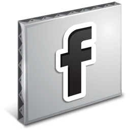 Facebook icon 256x256