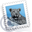 Mail icon 64x64