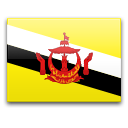 Brunei icon