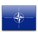 Nato icon