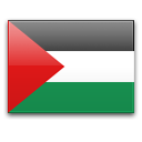 Palestine icon