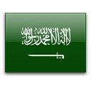 Saudi arabia icon