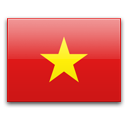 Viet nam icon