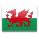 Wales icon