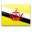 Brunei icon 32x32