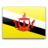 Brunei icon 48x48