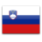 Slovenia icon 48x48