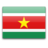 Suriname icon 48x48