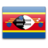Swaziland icon 48x48