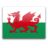 Wales icon 48x48