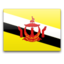 Brunei icon 64x64