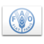 Fao icon 64x64