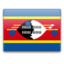 Swaziland icon 64x64