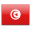 Tunisia icon 64x64