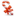  icon 16x16