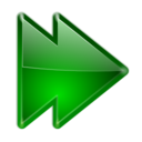 Arrow right double icon