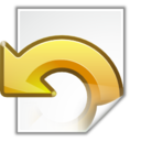 Document revert icon