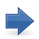 Go next icon