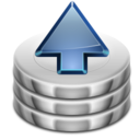 Svn commit icon