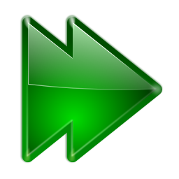 Arrow right double icon 256x256