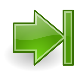 Go last icon 256x256