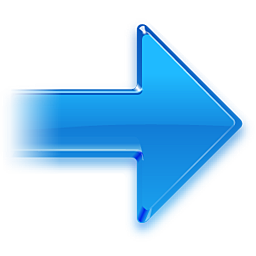 Go next icon 256x256