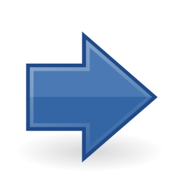 Go next icon 256x256
