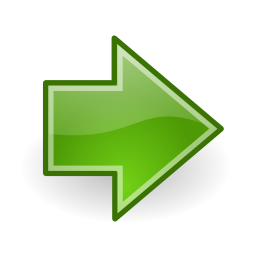 Go next icon 256x256