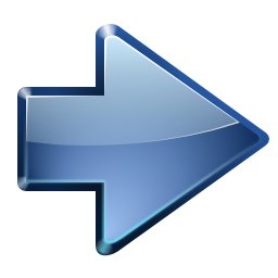 Go next icon 256x256