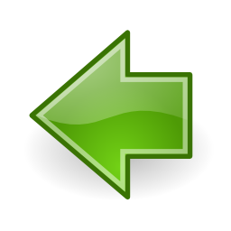 Go previous icon 256x256