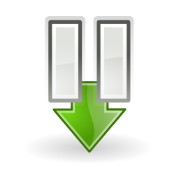 Insert pause icon 256x256