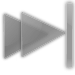 Media skip forward icon 256x256