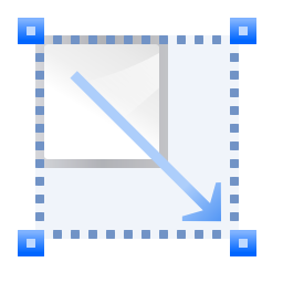 Transform scale icon 256x256