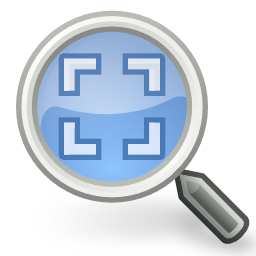 Zoom fit best icon 256x256