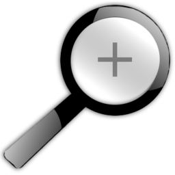 Zoom in icon 256x256
