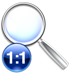 Zoom original icon 256x256