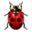 Tools report bug icon 32x32